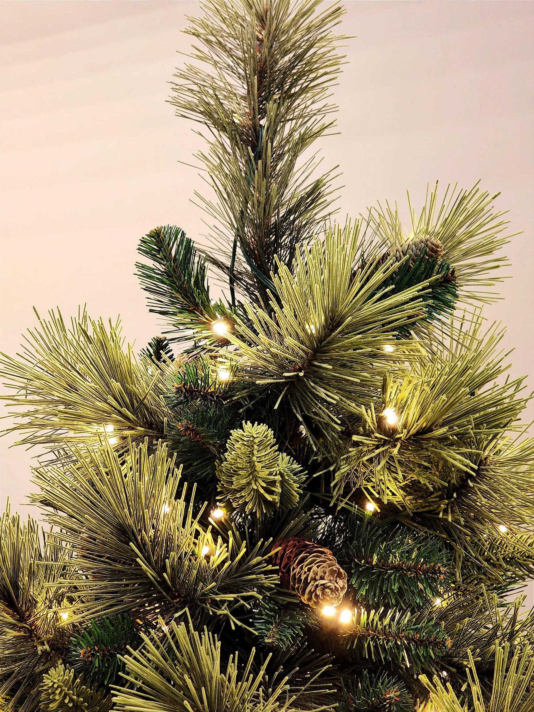 Árvore Pinheiro Colorado 2m • 1000 Galhos • 300 LEDs Warm Bivolt