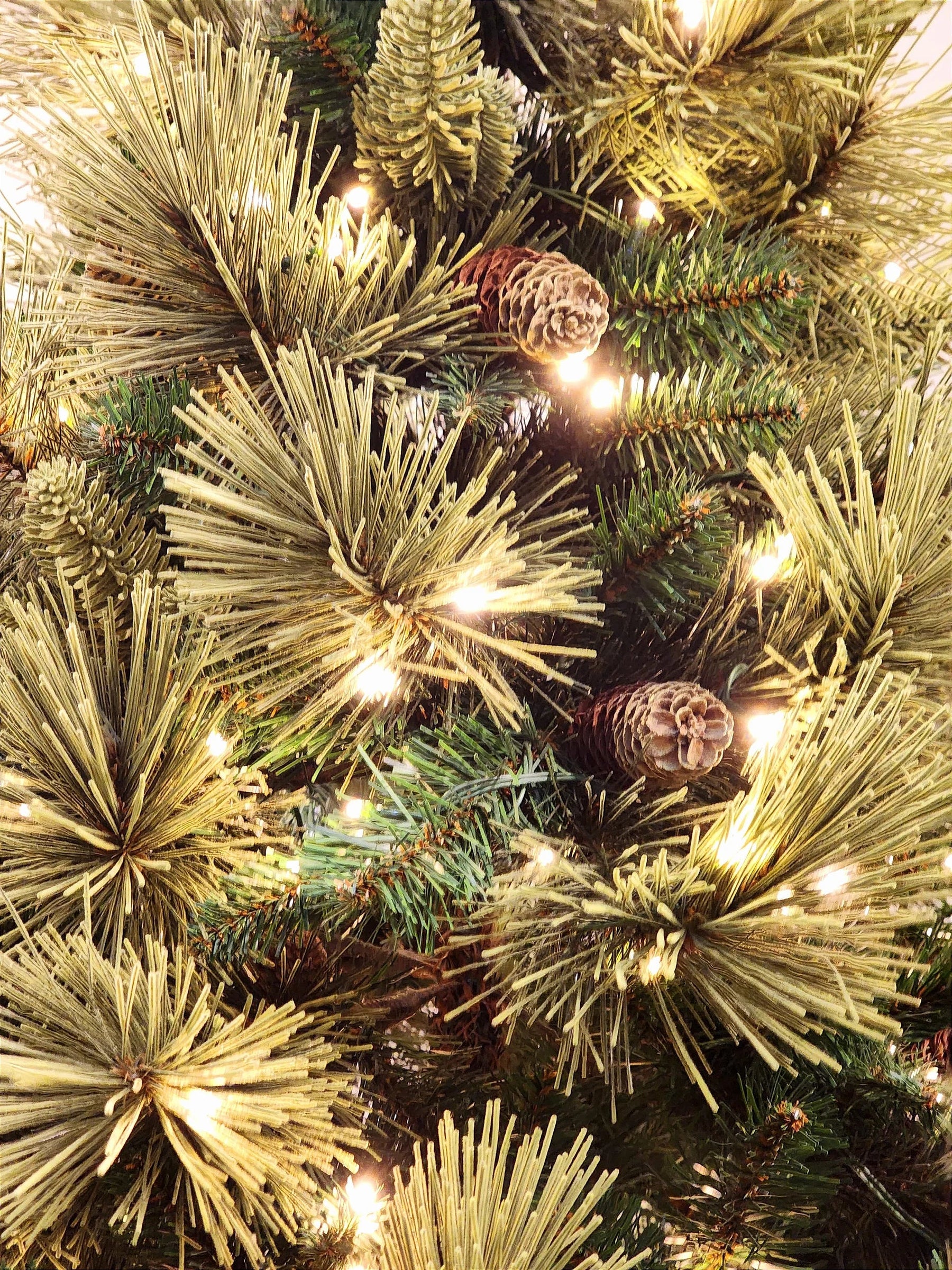 Árvore Pinheiro Colorado 2m • 1000 Galhos • 300 LEDs Warm Bivolt