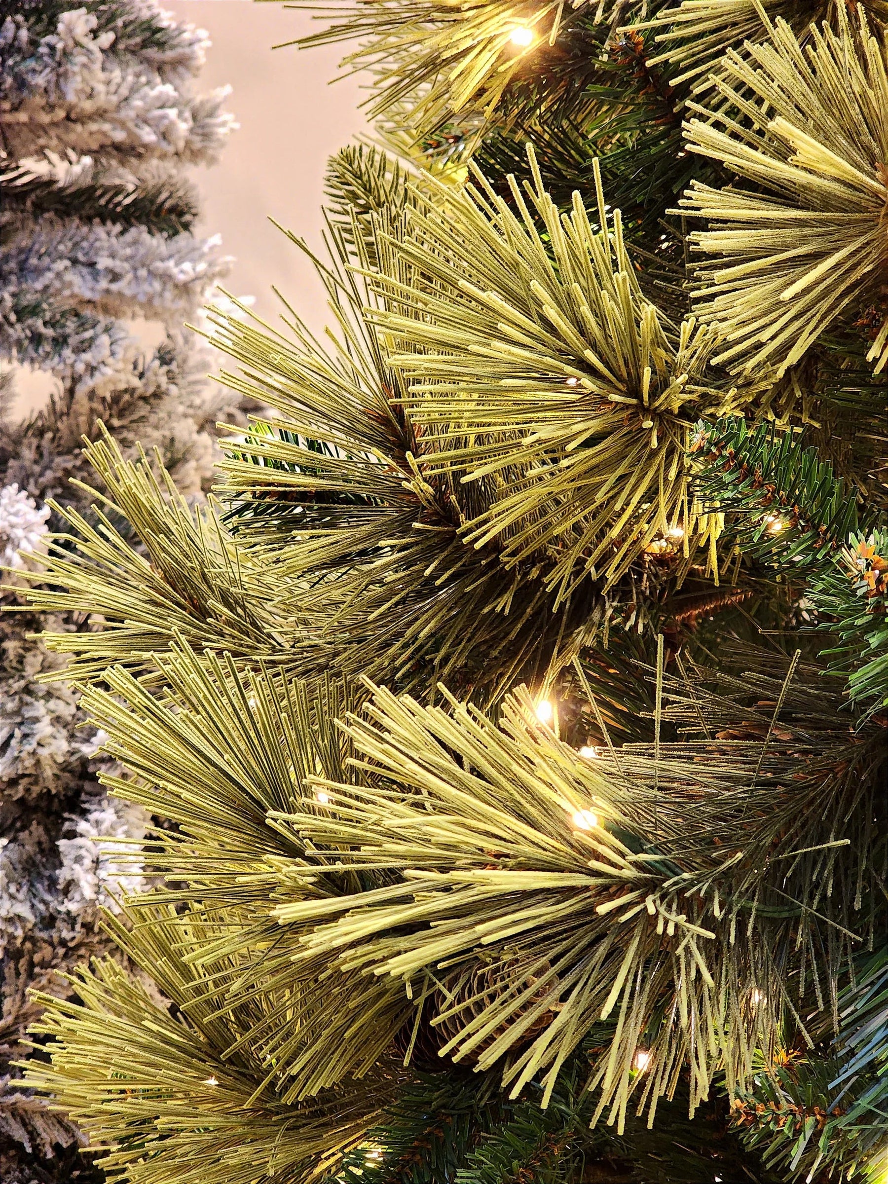 Árvore Pinheiro Colorado 2m • 1000 Galhos • 300 LEDs Warm Bivolt