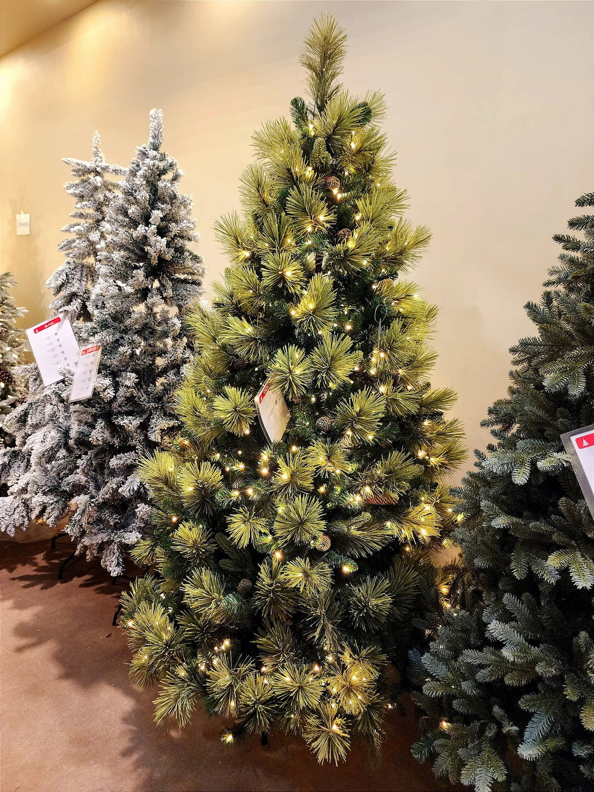 Árvore Pinheiro Colorado 2m • 1000 Galhos • 300 LEDs Warm Bivolt