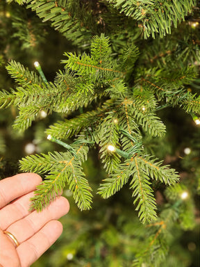 ÁRVORE REALISTA PINHEIRO AUSTRAL 2,10CM 450 LEDS WARM 801 GALHOS BIVOLT