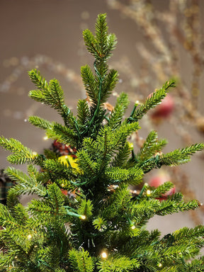 ÁRVORE REALISTA PINHEIRO AUSTRAL 2,10CM 450 LEDS WARM 801 GALHOS BIVOLT