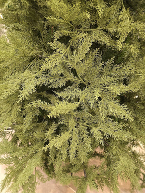 ÁRVORE PINHEIRO SUPER REALISTA NEW JERSEY 1240 GALHOS 2,10CM - PRÉ VENDA 2025