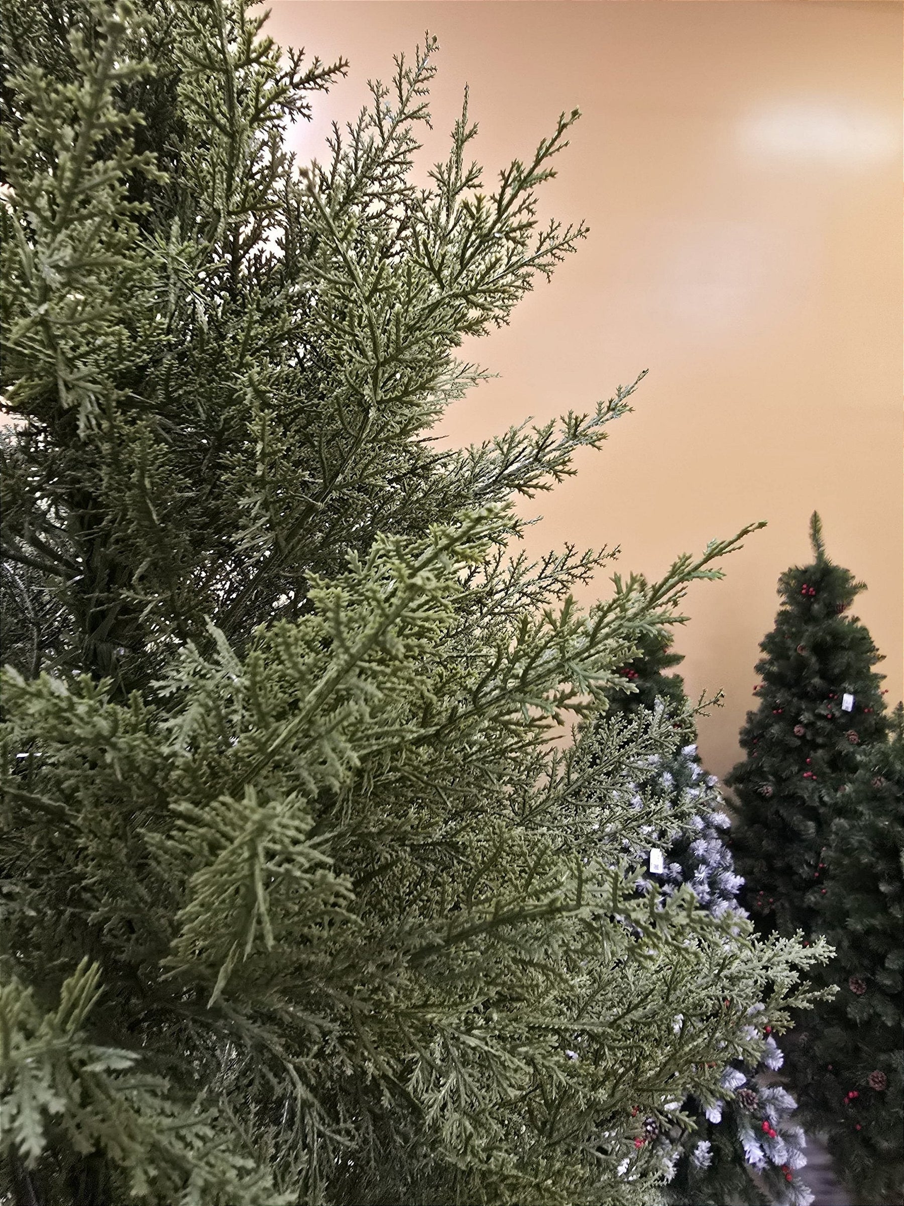 ÁRVORE PINHEIRO SUPER REALISTA NEW JERSEY 1240 GALHOS 2,10CM - PRÉ VENDA 2025